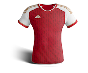 Arsenal Team Kit Icon